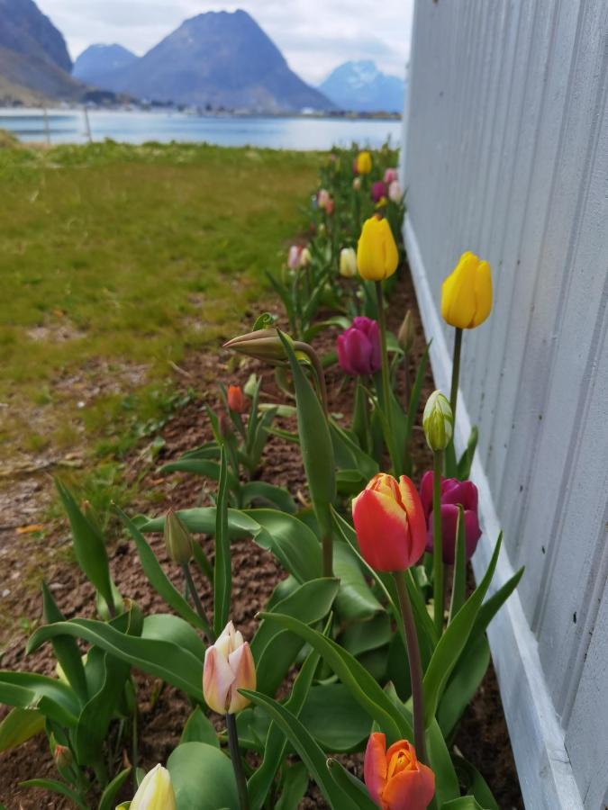 Banpim Beachside Lofoten Ramberg Extérieur photo